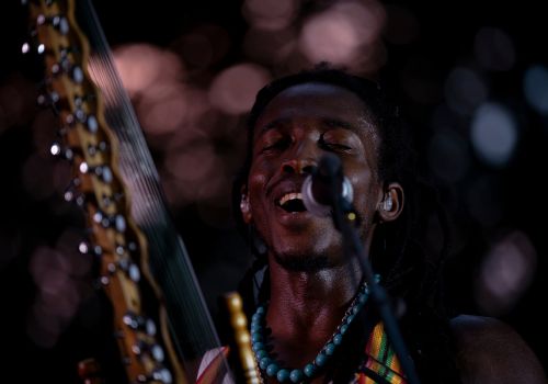 afrique musique chanteur compositeur kora