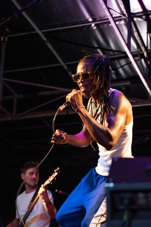 chanteur compositeur kora world musique